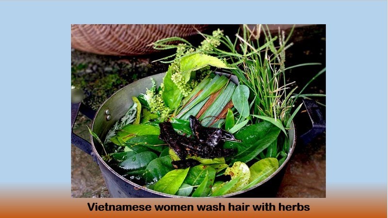 how-to-import-hair-from-Vietnam