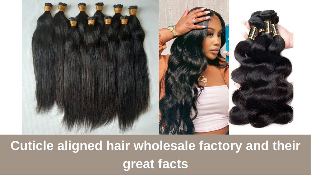 Cuticle-aligned-hair-wholesale-factory-and-their-great-facts_4