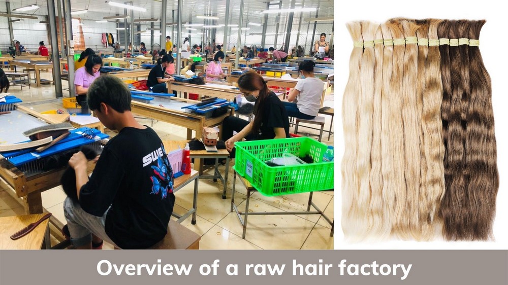 The special-things-of-raw-hair-factory-you-need-to-know_2