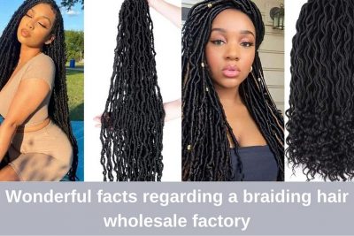 Wonderful-facts-regarding-a-braiding-hair-wholesale-factory_3